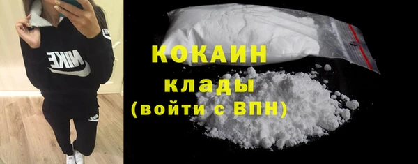 мяу мяу мука Няндома