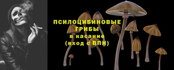мяу мяу мука Няндома