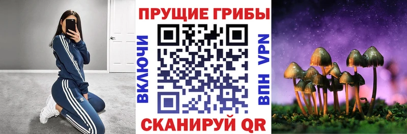 Галлюциногенные грибы Psilocybine cubensis Чапаевск