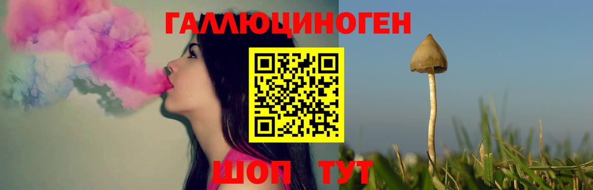 Галлюциногенные грибы Psilocybe Чапаевск
